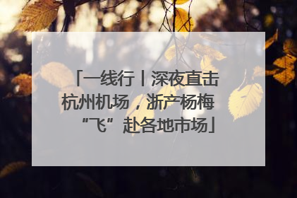 一线行丨深夜直击杭州机场，浙产杨梅“飞”赴各地市场