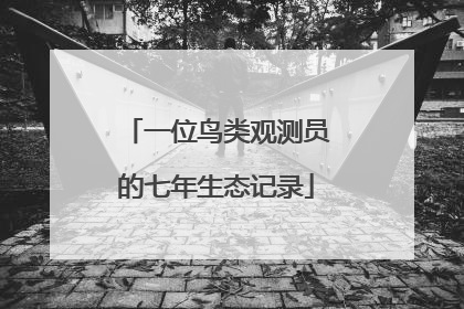 一位鸟类观测员的七年生态记录