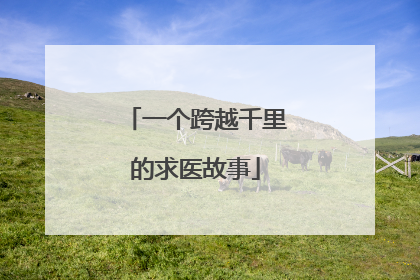一个跨越千里的求医故事