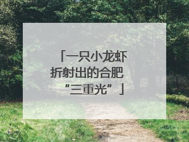 一只小龙虾折射出的合肥“三重光”