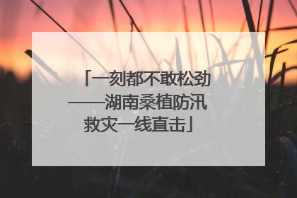 一刻都不敢松劲——湖南桑植防汛救灾一线直击