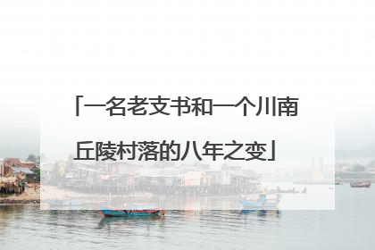 一名老支书和一个川南丘陵村落的八年之变