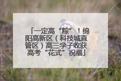 一定高“粽”！绵阳高新区（科技城直管区）高三学子收获高考“花式”祝福