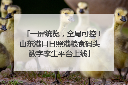 一屏统览，全局可控！山东港口日照港粮食码头数字孪生平台上线