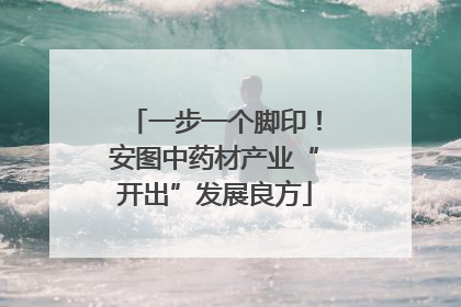 一步一个脚印！安图中药材产业“开出”发展良方