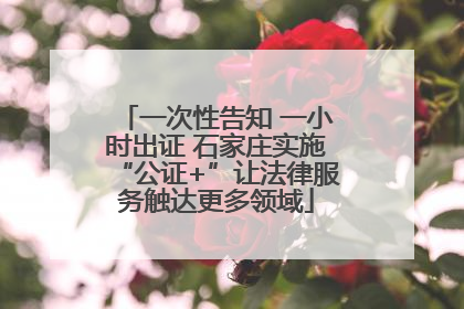 一次性告知 一小时出证 石家庄实施“公证+”让法律服务触达更多领域