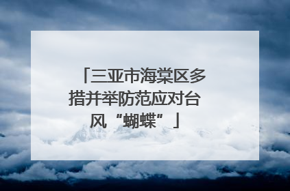 三亚市海棠区多措并举防范应对台风“蝴蝶”