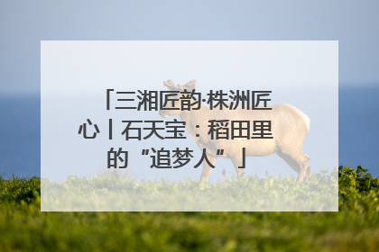 三湘匠韵·株洲匠心丨石天宝：稻田里的“追梦人”