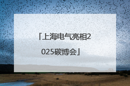 上海电气亮相2025碳博会