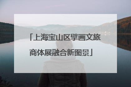 上海宝山区擘画文旅商体展融合新图景