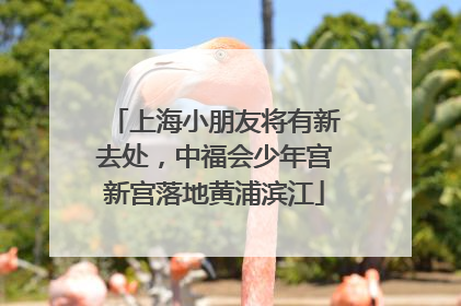 上海小朋友将有新去处，中福会少年宫新宫落地黄浦滨江