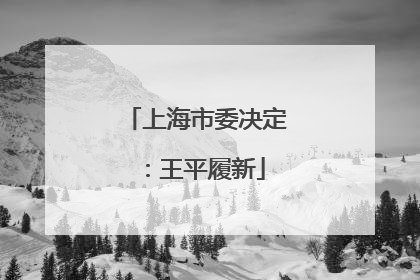 上海市委决定：王平履新