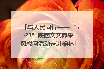 与人民同行——“5·23”陕西文艺界采风慰问活动走进榆林