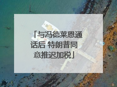 与冯德莱恩通话后 特朗普同意推迟加税
