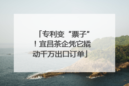专利变“票子”！宜昌茶企凭它撬动千万出口订单