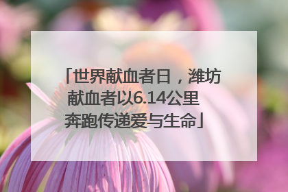 世界献血者日，潍坊献血者以6.14公里奔跑传递爱与生命