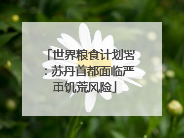 世界粮食计划署：苏丹首都面临严重饥荒风险