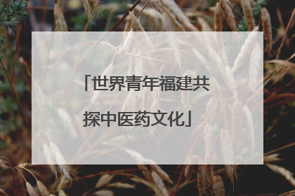 世界青年福建共探中医药文化