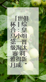 世俱杯丨综合：皇马小组第一晋级淘汰赛 利雅得新月成“亚洲独苗”