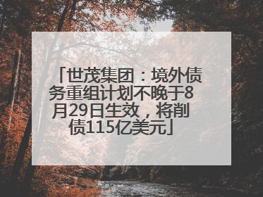 世茂集团：境外债务重组计划不晚于8月29日生效，将削债115亿美元