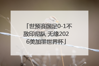 世预赛国足0-1不敌印尼队 无缘2026美加墨世界杯