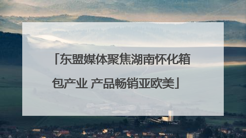 东盟媒体聚焦湖南怀化箱包产业 产品畅销亚欧美