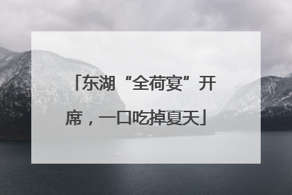 东湖“全荷宴”开席，一口吃掉夏天