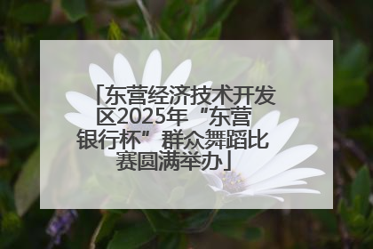 东营经济技术开发区2025年“东营银行杯”群众舞蹈比赛圆满举办