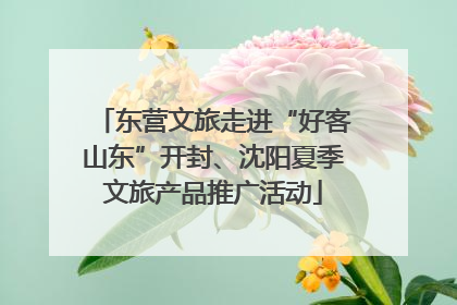 东营文旅走进“好客山东”开封、沈阳夏季文旅产品推广活动