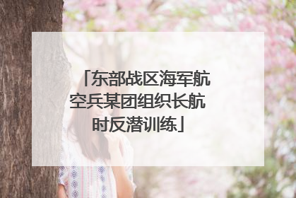 东部战区海军航空兵某团组织长航时反潜训练