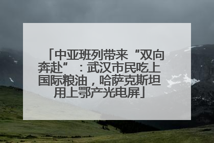 中亚班列带来“双向奔赴”：武汉市民吃上国际粮油，哈萨克斯坦用上鄂产光电屏