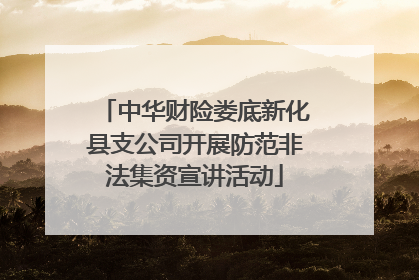 中华财险娄底新化县支公司开展防范非法集资宣讲活动