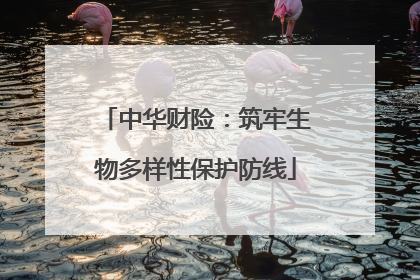 中华财险：筑牢生物多样性保护防线