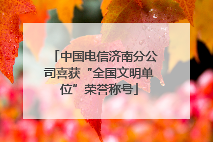 中国电信济南分公司喜获“全国文明单位”荣誉称号