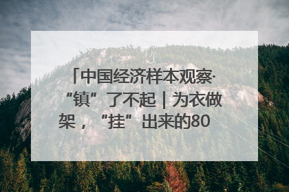 中国经济样本观察·“镇”了不起｜为衣做架，“挂”出来的80亿元“衣架产业”