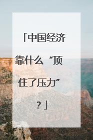 中国经济靠什么“顶住了压力”？