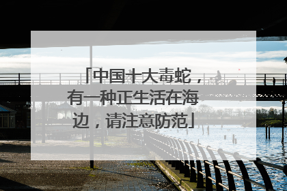 中国十大毒蛇，有一种正生活在海边，请注意防范