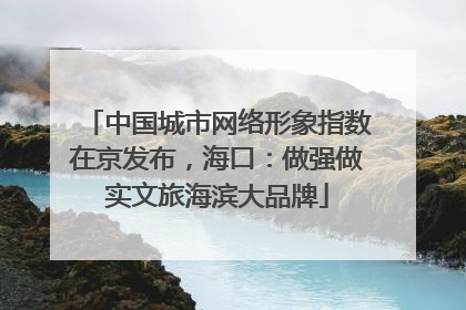 中国城市网络形象指数在京发布，海口：做强做实文旅海滨大品牌