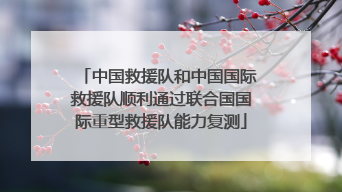 中国救援队和中国国际救援队顺利通过联合国国际重型救援队能力复测