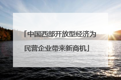 中国西部开放型经济为民营企业带来新商机