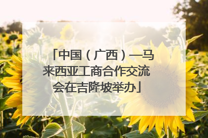 中国（广西）—马来西亚工商合作交流会在吉隆坡举办