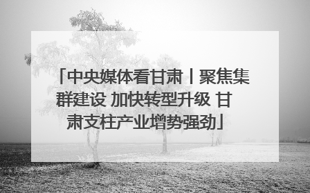中央媒体看甘肃丨聚焦集群建设 加快转型升级 甘肃支柱产业增势强劲