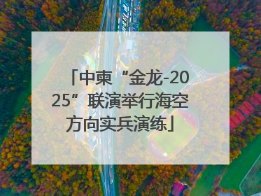 中柬“金龙-2025”联演举行海空方向实兵演练