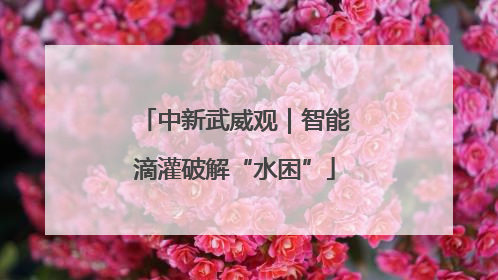 中新武威观｜智能滴灌破解“水困”