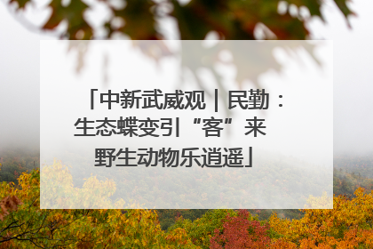 中新武威观｜民勤：生态蝶变引“客”来 野生动物乐逍遥