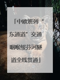 中欧班列“东通道”交通咽喉绥芬河隧道全线贯通