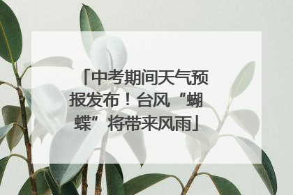 中考期间天气预报发布！台风“蝴蝶”将带来风雨