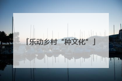 乐动乡村“种文化”