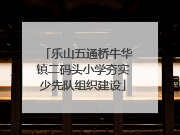 乐山五通桥牛华镇二码头小学夯实少先队组织建设