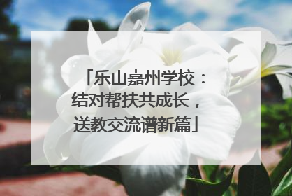 乐山嘉州学校：结对帮扶共成长，送教交流谱新篇